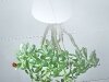 mr_proper_house_clean_plant.jpg