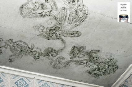 Coral Paint : Mold
