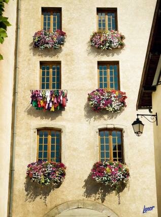 Lenor Fabric Softener : Windows
