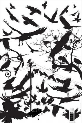 Amway Car Wash : The Crows
