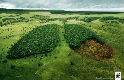 WWF : Lungs