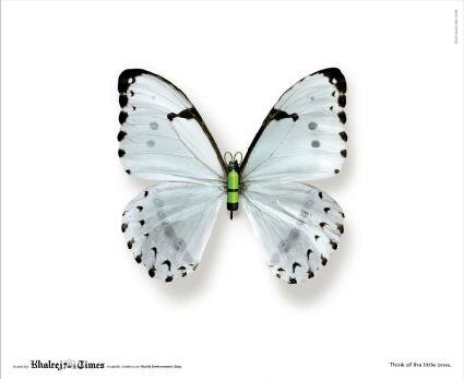 White Advertising