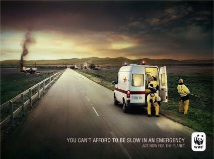 WWF : Emergency