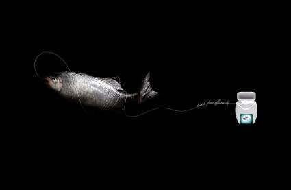 Dental Clean : Fish