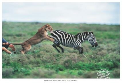 21 Bizarrely Funny Print Ads
