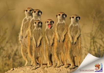 21 Bizarrely Funny Print Ads