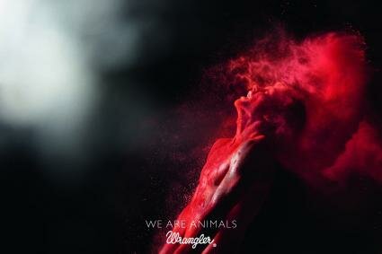 Wrangler : We Are Animals