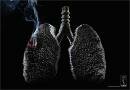 ADESF : Anti Smoking