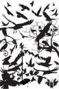 Amway Car Wash : The Crows