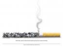 Cancer Society of India : Smoking