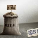 BASSMA : Fight Poverty