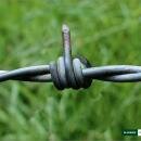 D-fence Barbed Wire : Finger