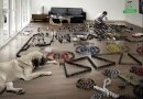 Purina Dog Chow : Dominos
