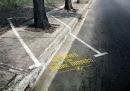 Reserved For Drunk Drivers : Tree