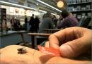 Eichborn Publishing : Flyvertising