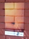 Go Fitness : Wall
