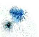 Happy New Year!!