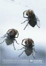 Hyundai : Flies