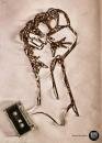 Kaya FM 95.9 : Fist