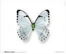 Khaleej Times : World Environment Day