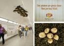 Lay’s : Potatoes Installation
