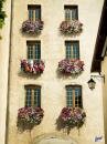 Lenor Fabric Softener : Windows