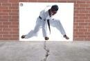 Ambient Campaign for Martial Arts School