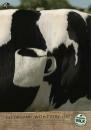 OMSCO Organic Milk : Tea Cup