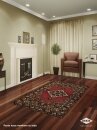 Orkin Pest Control : Living Room