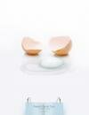 Parisloft Dental Clinic : Egg Yolk