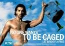 Peta