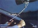 Peugeot 206 : Crucifix