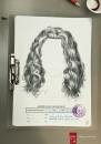 Sunsilk Shampoo : Unforgettable Hair