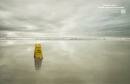 Surfrider : Wet Floor
