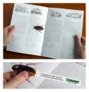 Terminix : Power Over Pests