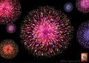 Tide : Celebration