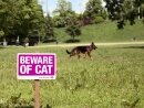 Whiskas : Beware of Cat