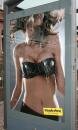 Wonderbra : Broken Glass