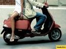 Wonderbra : Scooter
